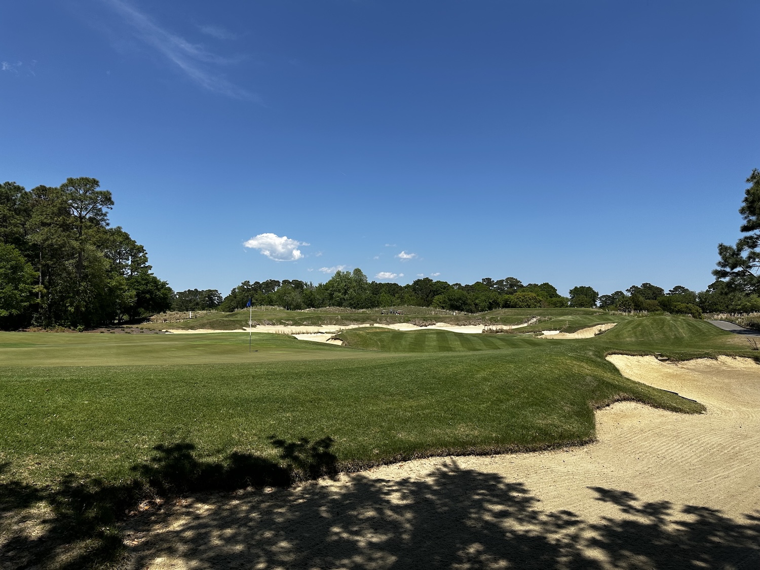 Gallery: Signs & Scenes of Spring 2025 from David Williams